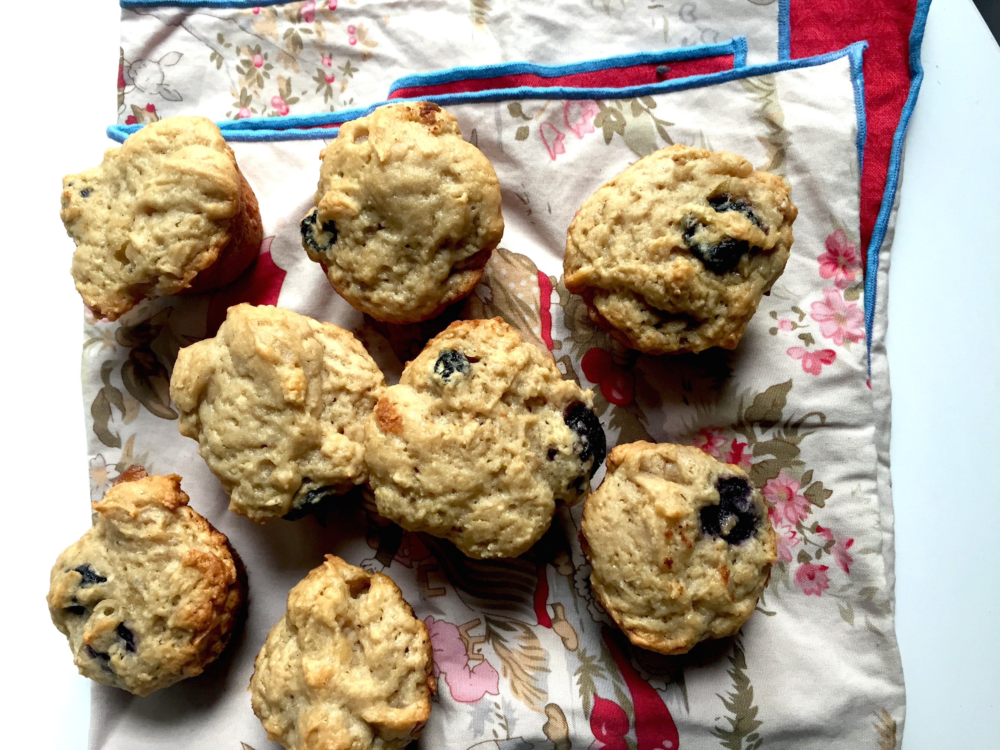 Classroom Friendly Blueberry Muffins