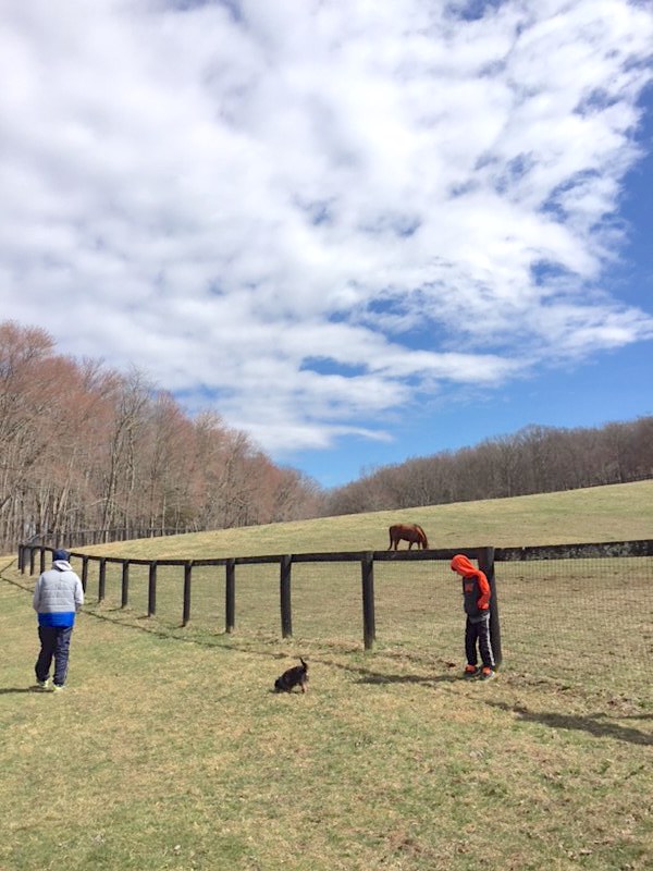 Quarantine During COVID-19: 22 Positives