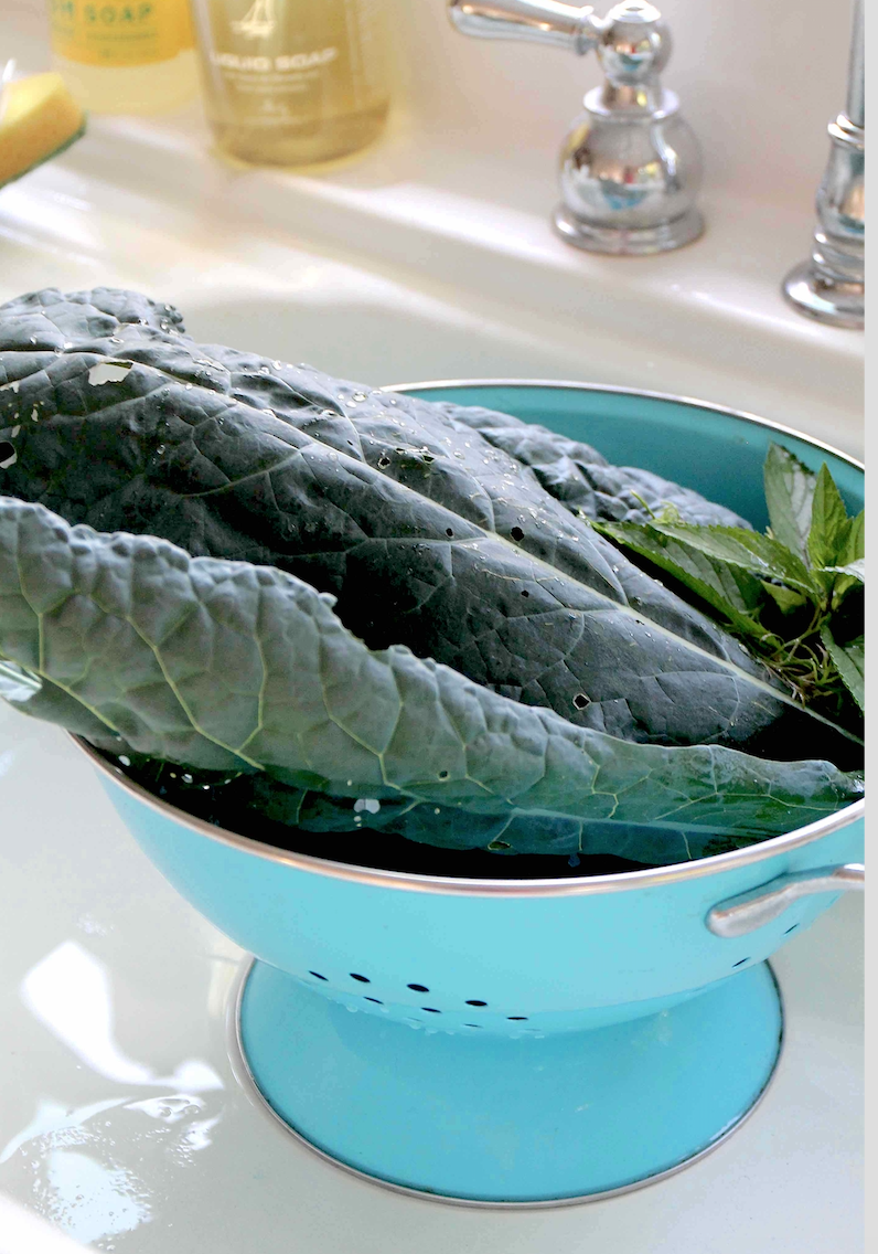 Healthy Benefits of a Plant-Based Diet