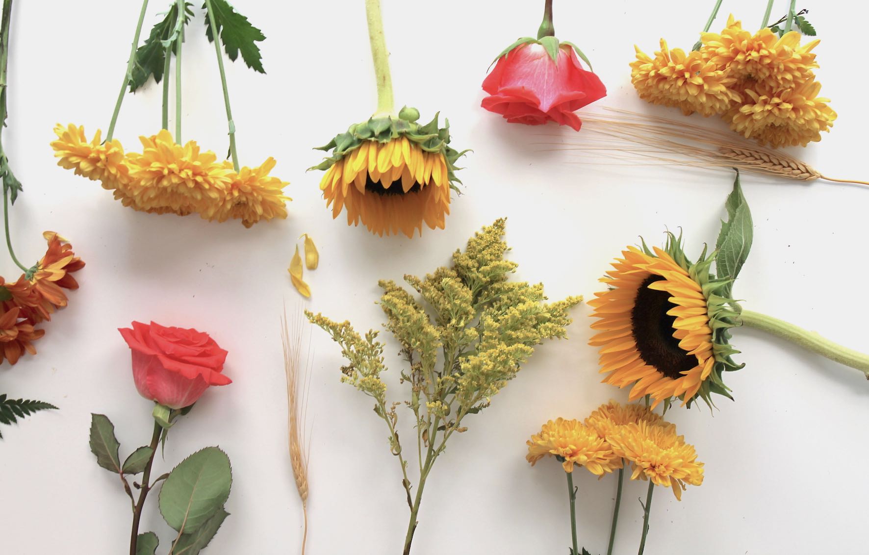 Fall Checklist Before Halloween