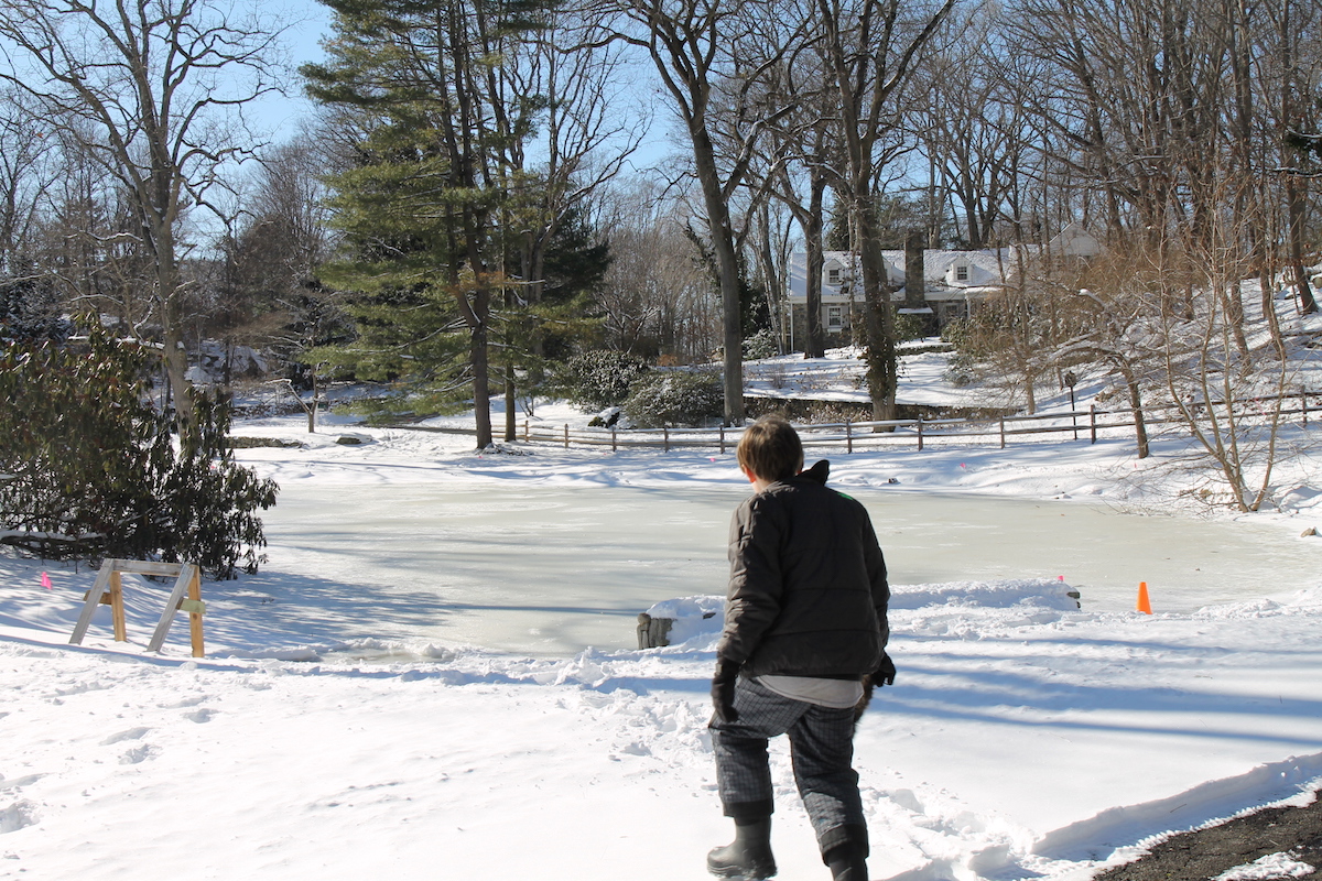 Winter Survival Guide